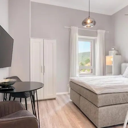 Homely Apartment